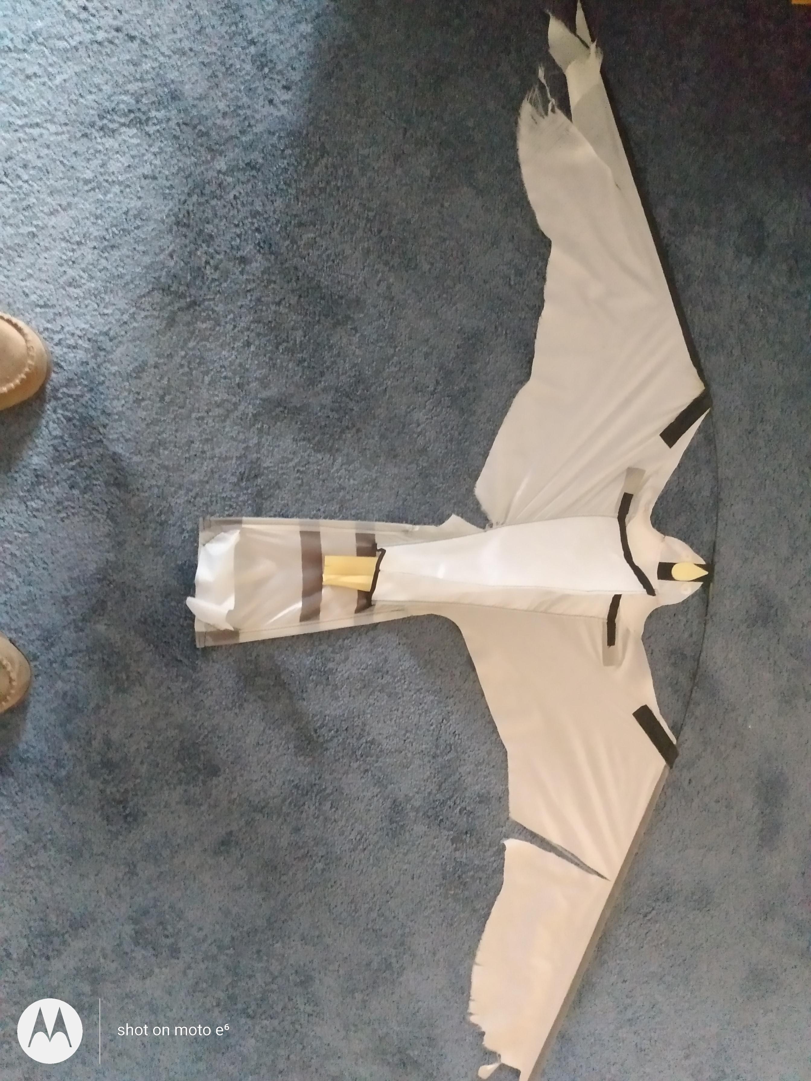 test Kite